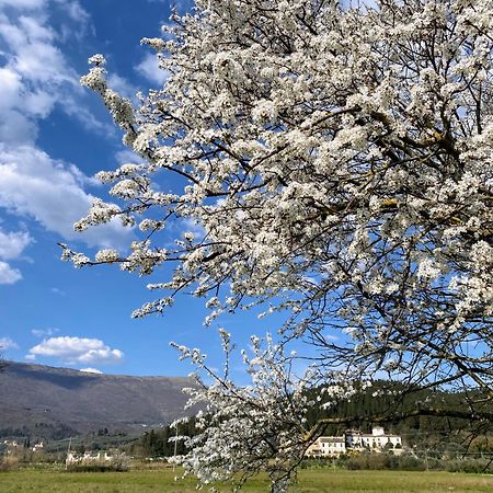 Accanto A Firenze Прато Екстер'єр фото
