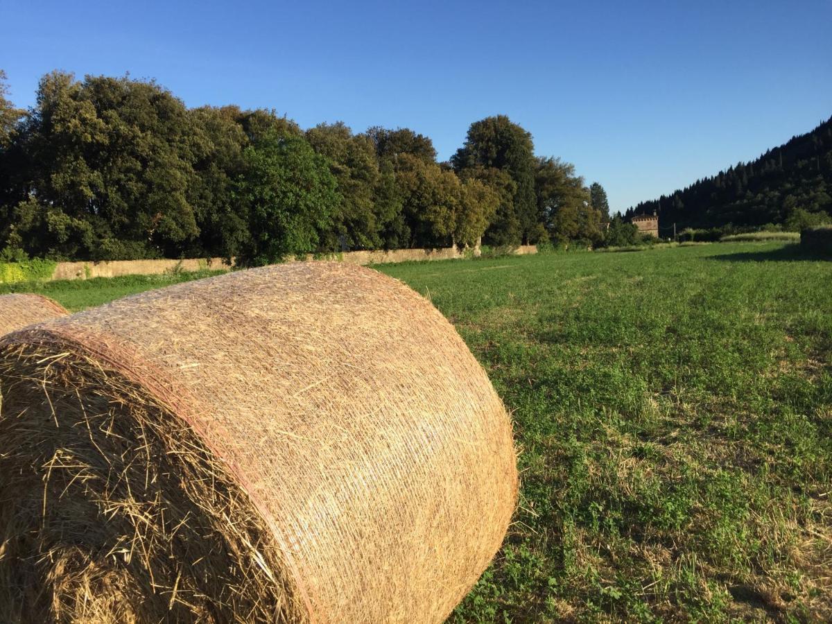 Accanto A Firenze Прато Екстер'єр фото
