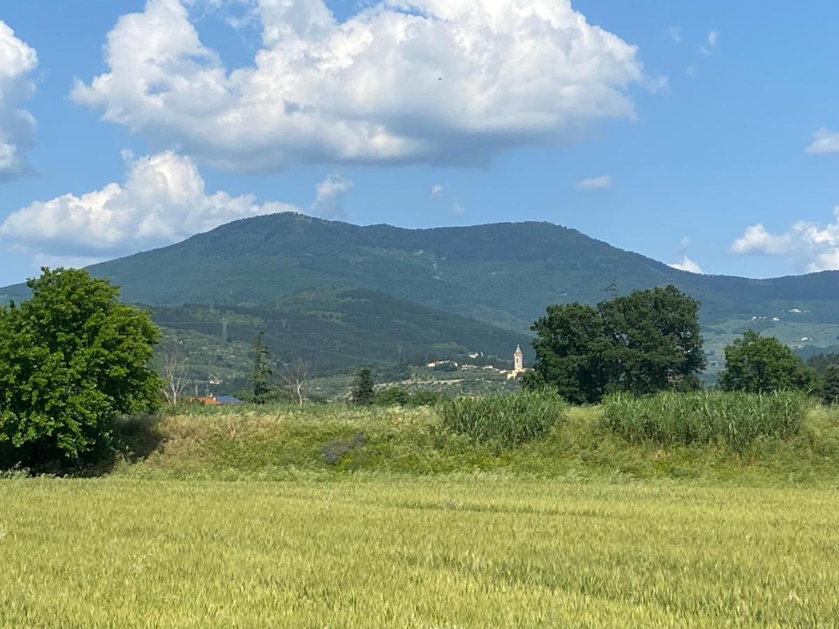 Accanto A Firenze Прато Екстер'єр фото