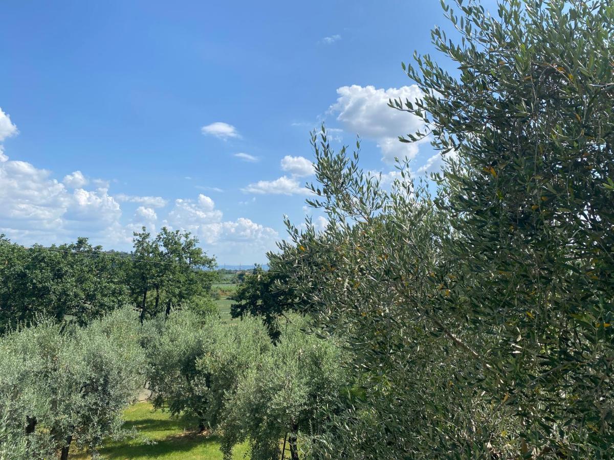 Accanto A Firenze Прато Екстер'єр фото