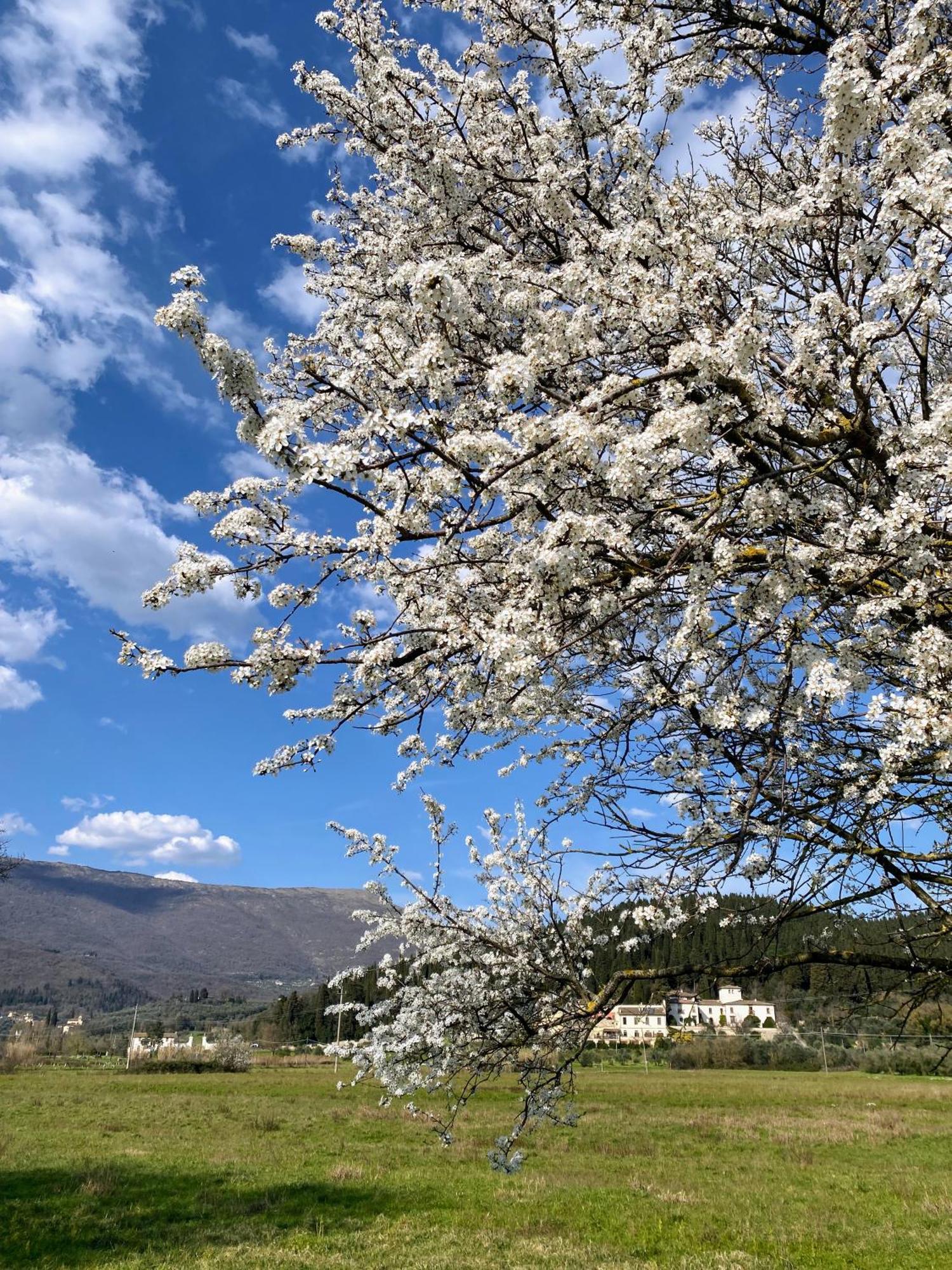 Accanto A Firenze Прато Екстер'єр фото